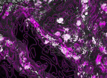 orographically_induced_convergence_lines