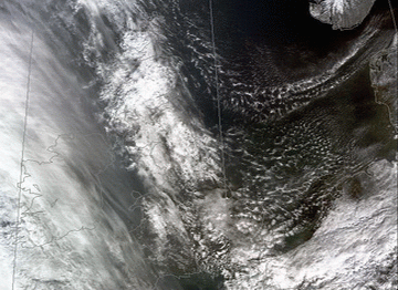 open_cell_and_closed_cell_convection