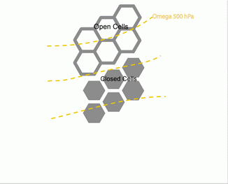 open_cell_and_closed_cell_convection