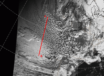 open_cell_and_closed_cell_convection