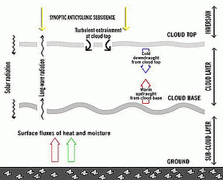 stratocumulus_sheets