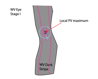 water_vapour_vortices