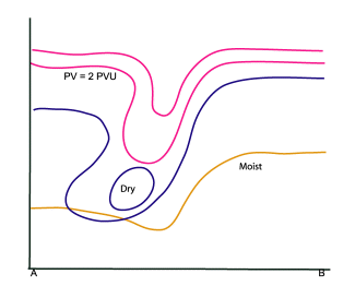 water_vapour_vortices