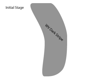 water_vapour_vortices