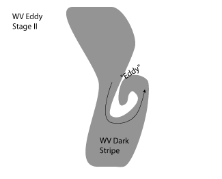 water_vapour_vortices