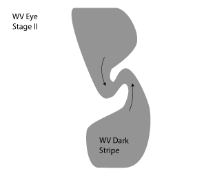 water_vapour_vortices
