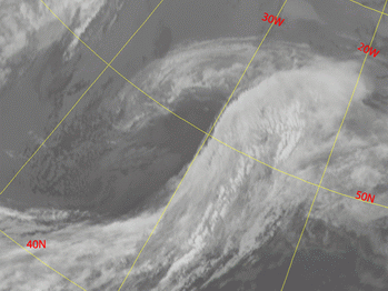 occlusion_cold_conveyor_belt_type