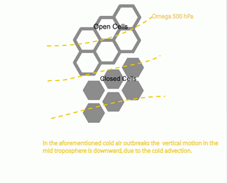 open_and_closed_cell_convection