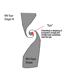 water_vapor_vortices