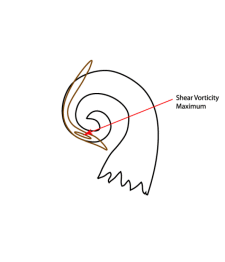 water_vapor_vortices