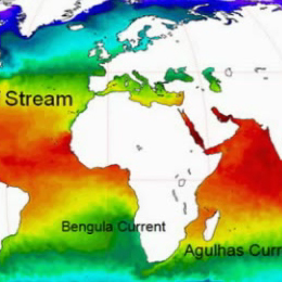 Sea Surface Temperature