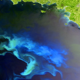 Ocean Applications with MERIS