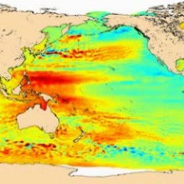 Sea Surface Height Variation