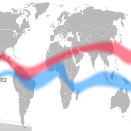 Radiation Application