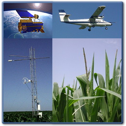 LSA SAF Products and Applications