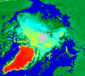 The AVHRR Global Climate Dataset