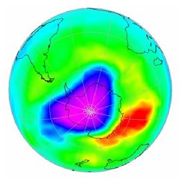 Ozone and Trace Gases