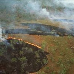 Fire Risks and Burnt Areas