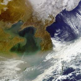 WWW-Briefing - Korea