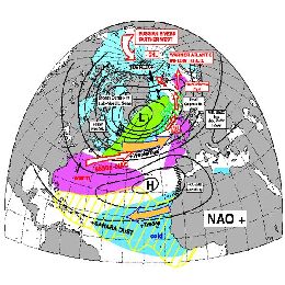 WWW-Briefing - South America