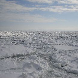 Marine Forecasting Course