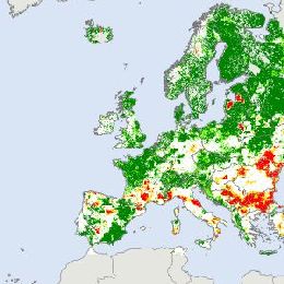 DFL - Event Week 2014