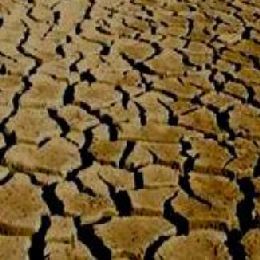 DFL - Event Week 2014