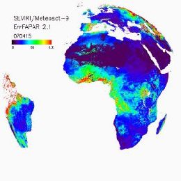 DFL - Event Week 2014