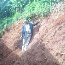 DFL - Event Week 2014