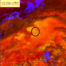 DFL - Event Week 2014