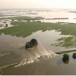 DFL - Event Week 2014