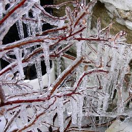 Synoptic and Mesoscale Analysis of Satellite Images - 2014