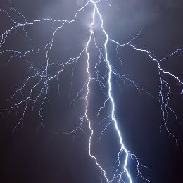 DFL - Event Week 2014