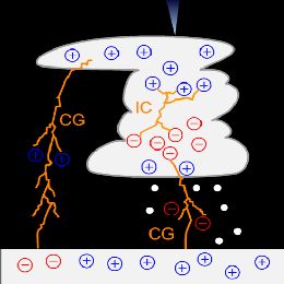 DFL - Event Week 2014