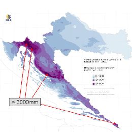 DFL - Event Week 2014