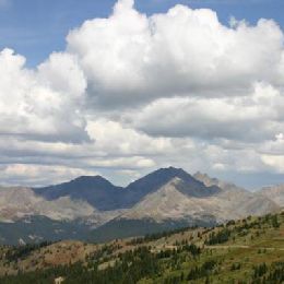 DFL - Event Week 2014