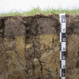 Environment - Event Week 2016