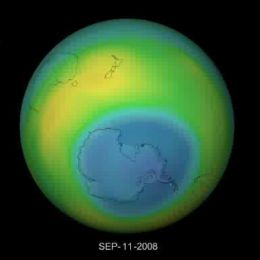 Environment - Event Week 2016