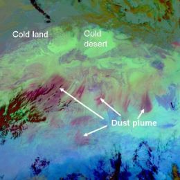 Environment - Event Week 2016