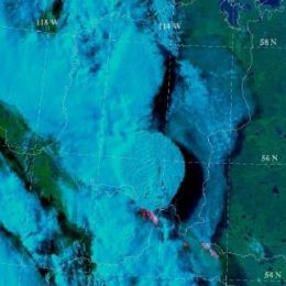 Environment - Event Week 2016