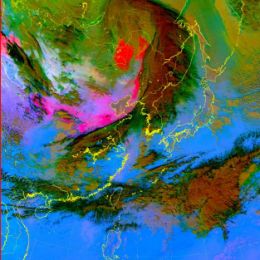 Environment - Event Week 2016