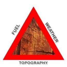 Environment - Event Week 2016