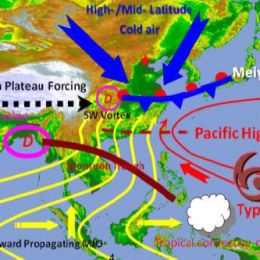 Environment - Event Week 2016