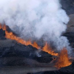 Environment - Event Week 2016