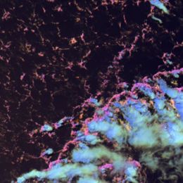 MTG-I - Event Week 2016