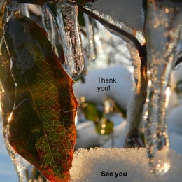 Synoptic and Mesoscale Analysis of Satellite Images - 2016