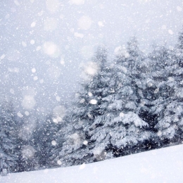 Precipitation - EW 2020