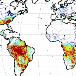 HSAF User Workshop 2022