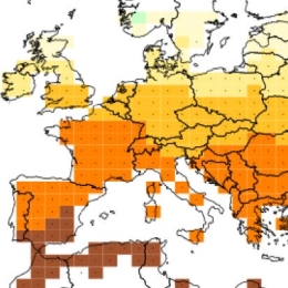 HSAF User Workshop 2022