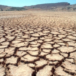 HSAF User Workshop 2022